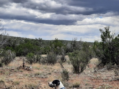 Off Grid Northern AZ Rural Property - image 5