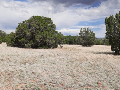 Gorgeous 2.4 acre off grid Norther AZ rural property. - image 2