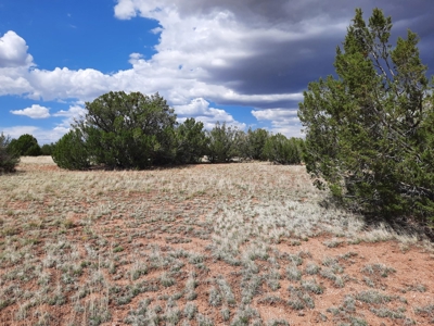 Gorgeous 2.4 acre off grid Norther AZ rural property. - image 7