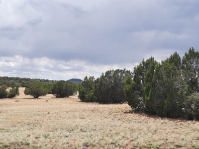 Gorgeous 2.4 acre off grid Norther AZ rural property. - image 6