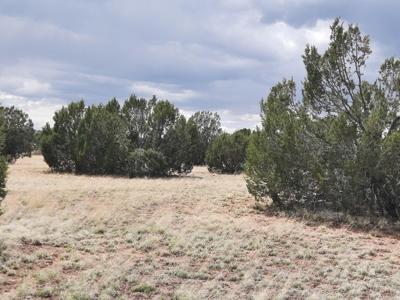 Gorgeous 2.4 acre off grid Norther AZ rural property. - image 5