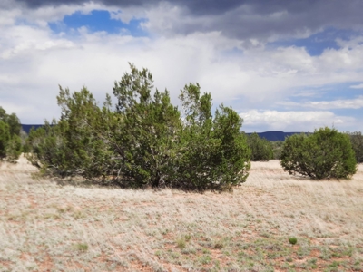 Gorgeous 2.4 acre off grid Norther AZ rural property. - image 3