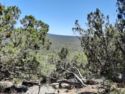 Extremely Unique off grid mountain property. - image 7