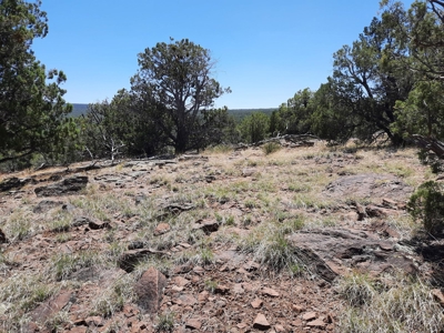Extremely Unique off grid mountain property. - image 13