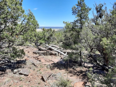 Extremely Unique off grid mountain property. - image 10