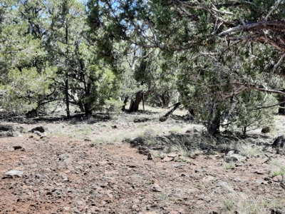 Extremely Unique off grid mountain property. - image 14