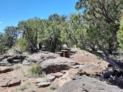 Extremely Unique off grid mountain property. - image 12