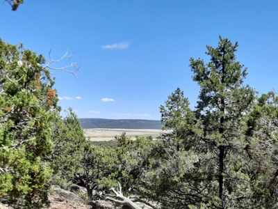 Extremely Unique off grid mountain property. - image 8