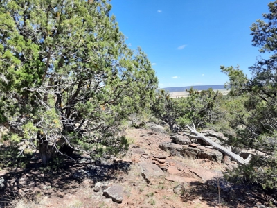 Extremely Unique off grid mountain property. - image 11