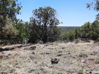 Extremely Unique off grid mountain property. - image 4