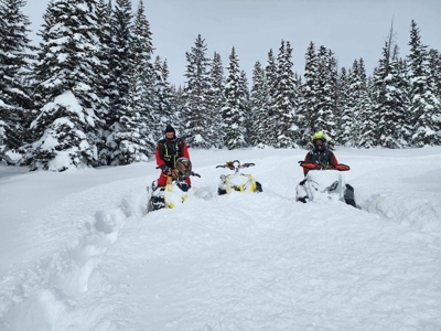 Mountain Log Home with Barn, Exceptional Mule Deer Hunting - image 43