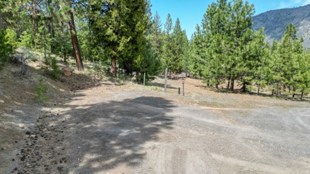 Southern Oregon Timbered Country Home w/possible owner carry - image 28