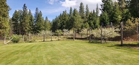 Southern Oregon Timbered Country Home w/possible owner carry - image 21