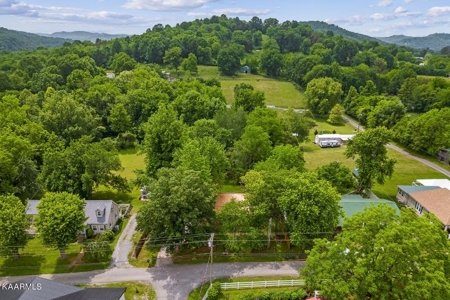 Home for sale 200 Line St, Granville TN 38564 - image 7