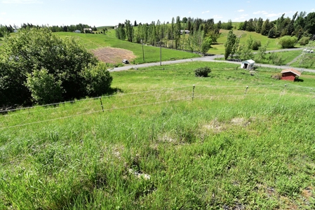 Small Farm Set-Up Just Outside Of City Limits Moscow, ID! - image 12