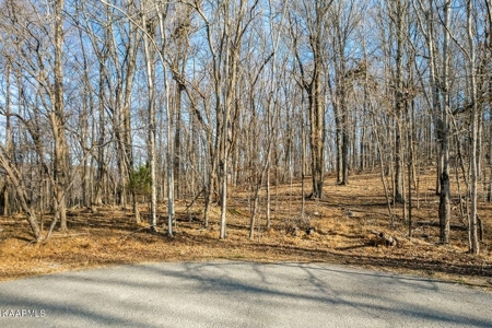 Land for sale Cookeville TN - image 1