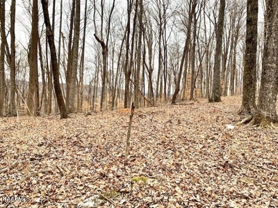 Land for sale Cookeville TN - image 14