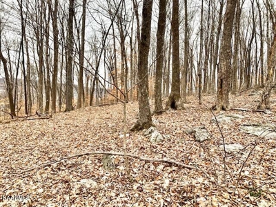 Land for sale Cookeville TN - image 15