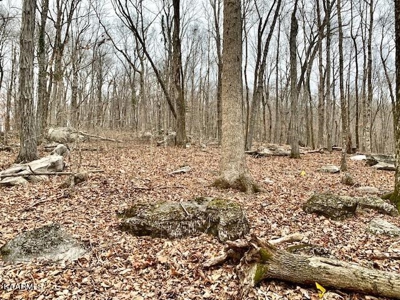 Land for sale Cookeville TN - image 22