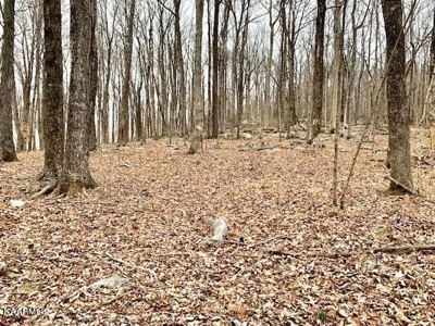 Land for sale Cookeville TN - image 13