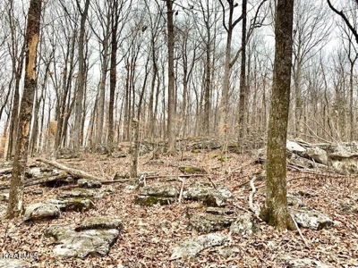 Land for sale Cookeville TN - image 20