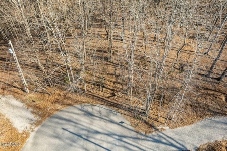Land for sale Cookeville TN - image 2
