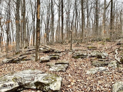 Land for sale Cookeville TN - image 19