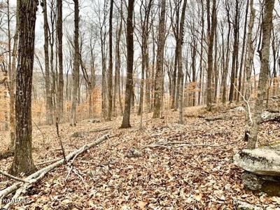 Land for sale Cookeville TN - image 21