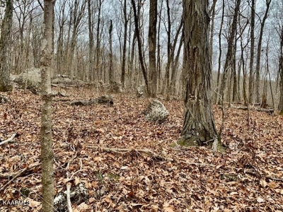 Land for sale Cookeville TN - image 18