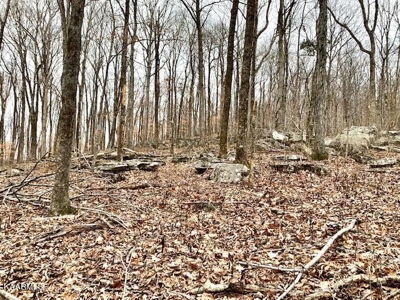 Land for sale Cookeville TN - image 17