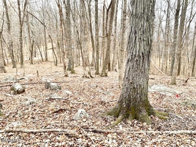 Land for sale Cookeville TN - image 16