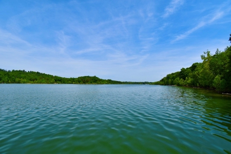 Wonderful Lake House on Nolin River Lake - image 22