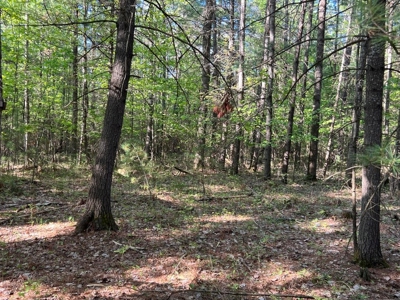 Northern Michigan Home for Sale Atlanta MI - image 24