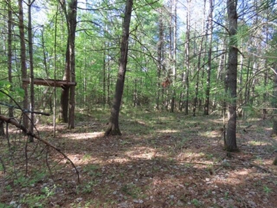 Northern Michigan Home for Sale Atlanta MI - image 22