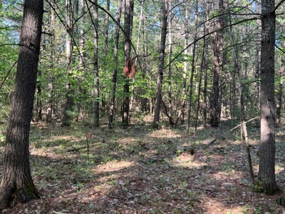 Northern Michigan Home for Sale Atlanta MI - image 20