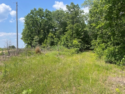 43.4 +/- Acres Vacant Land in Thayer, Missouri - image 4