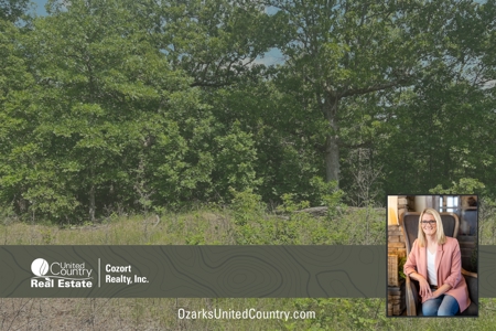 43.4 +/- Acres Vacant Land in Thayer, Missouri - image 1