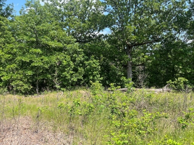 43.4 +/- Acres Vacant Land in Thayer, Missouri - image 2