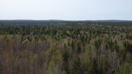 40± private acres - image 6