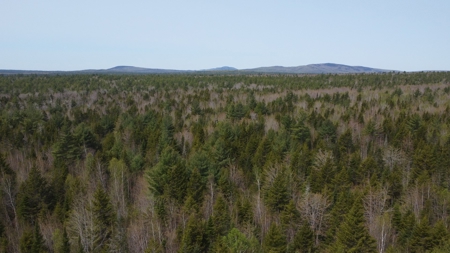 40± private acres - image 4