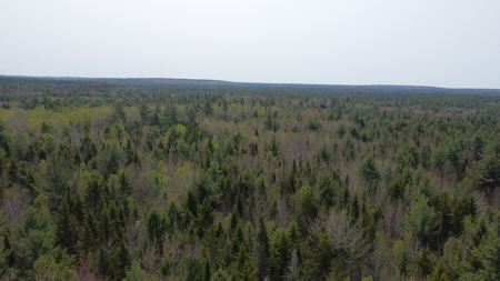 40± private acres - image 3