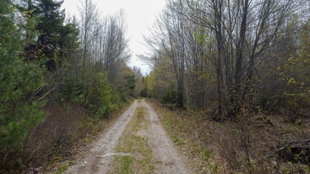 40± private acres - image 11