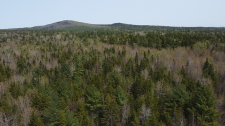 40± private acres - image 8