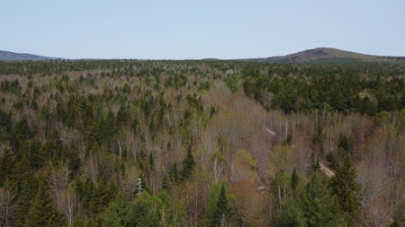 40± private acres - image 5