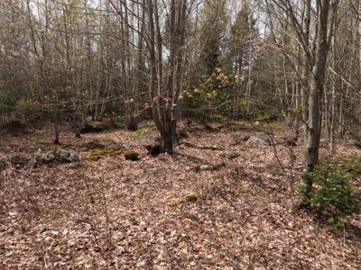 40± private acres - image 12