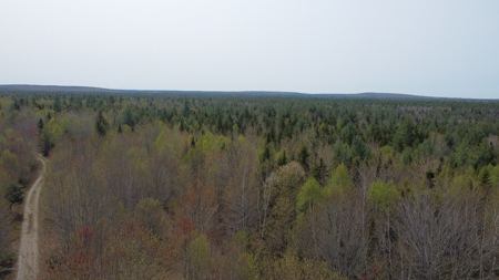 40± private acres - image 2