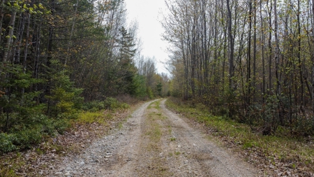 40± private acres - image 10