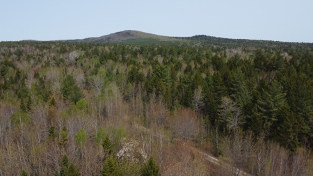 40± private acres - image 9