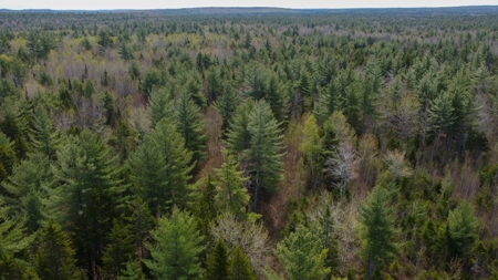 40± private acres - image 7