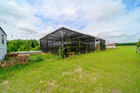 120 Acre Tree Farm  & 2 Homes For Sale - Live Oak Florida! - image 30